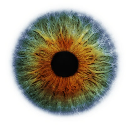 Eyescapes — пейзажи глаз от Rankin